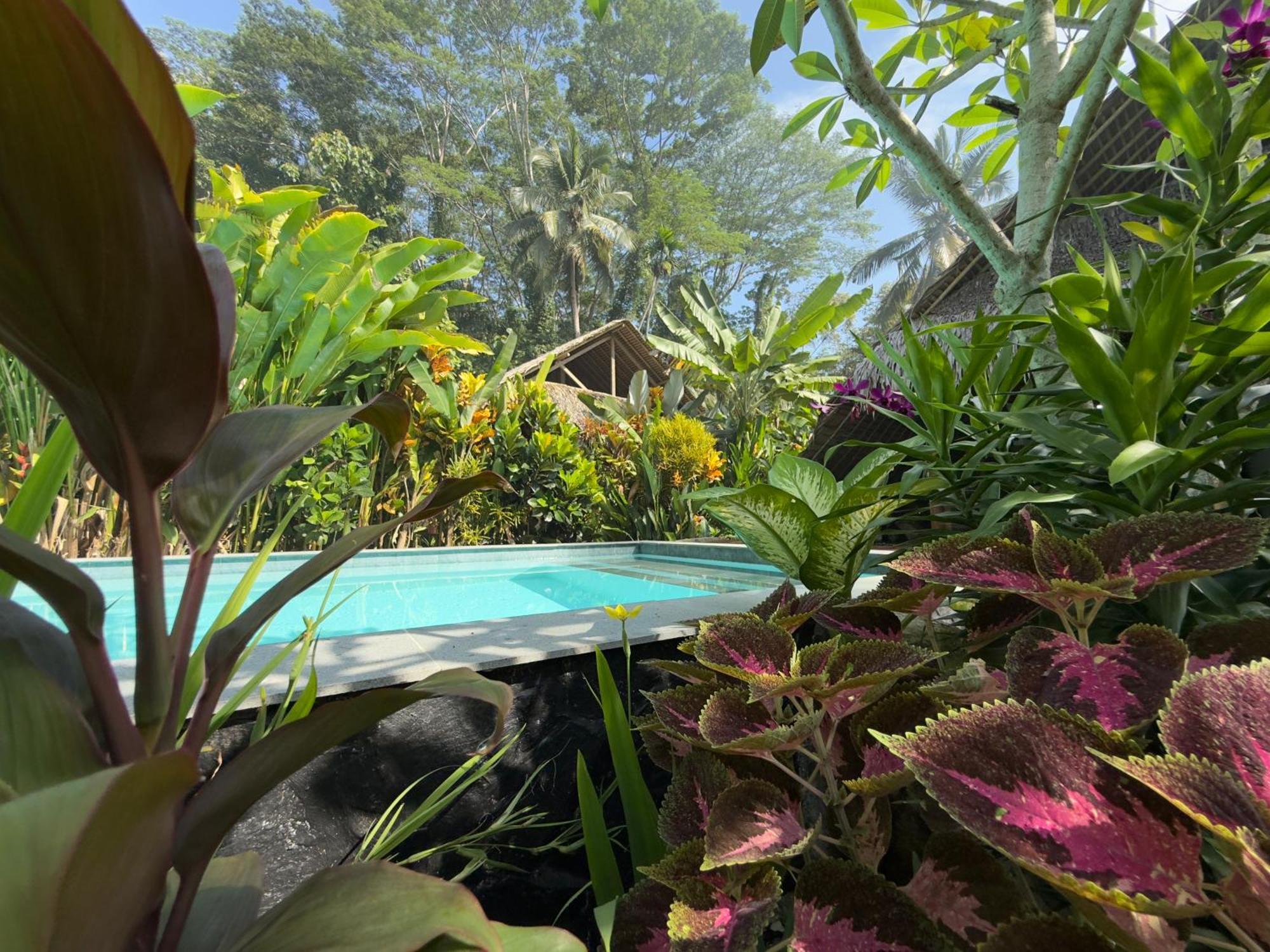 Rnv Eco Resort Bungalows Batukaras Buitenkant foto