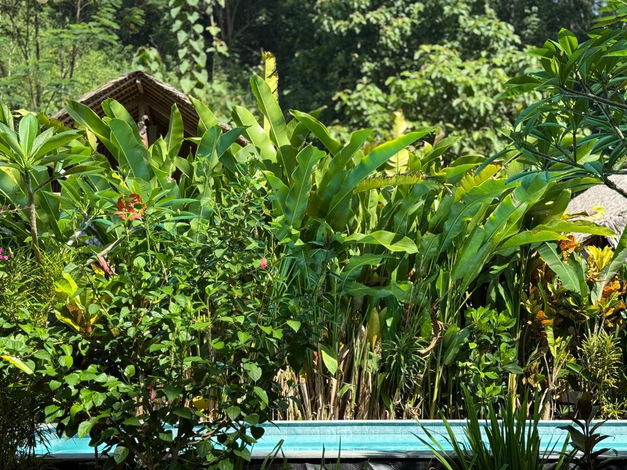 Rnv Eco Resort Bungalows Batukaras Buitenkant foto