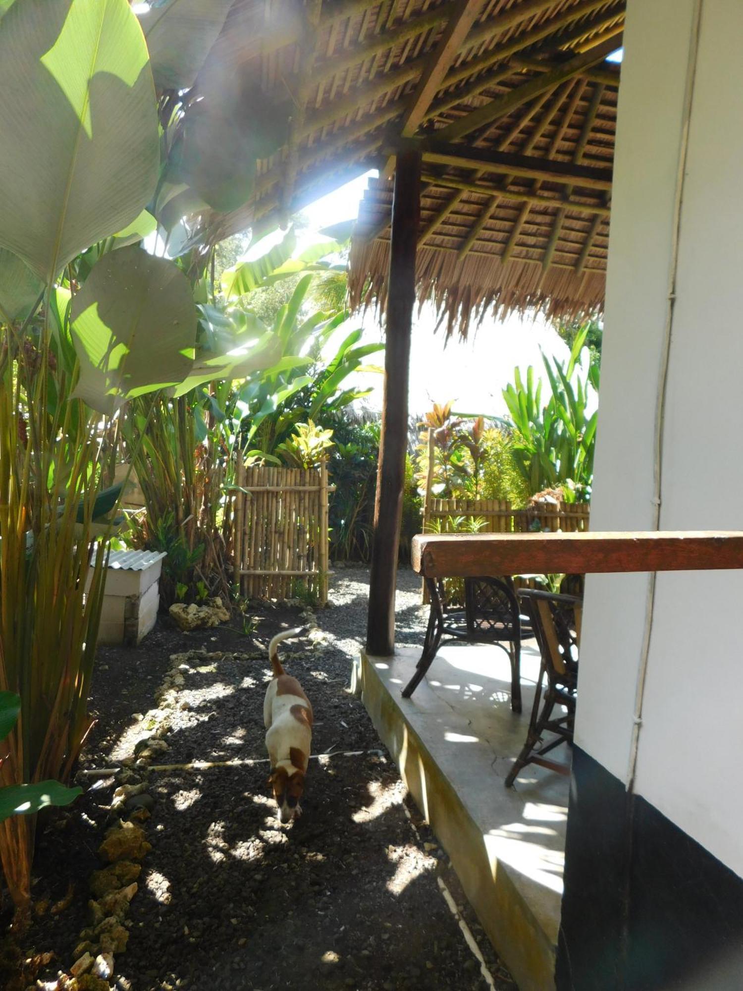 Rnv Eco Resort Bungalows Batukaras Buitenkant foto